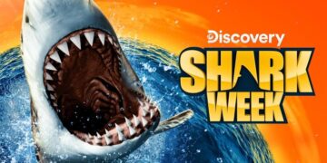 August 2025 on Warner Bros Discovery