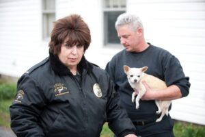 August 2025 on Shudder, AMC+, Acorn TV and HIDIVE