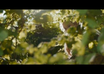 MOVIE | The Magic Faraway Tree release date of 26 March 2026