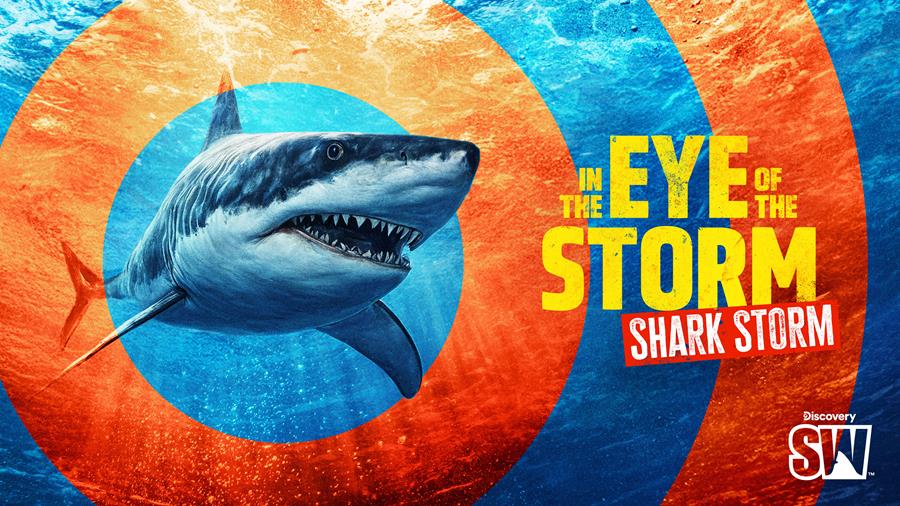 Discovery’s Shark Week returns 10 August