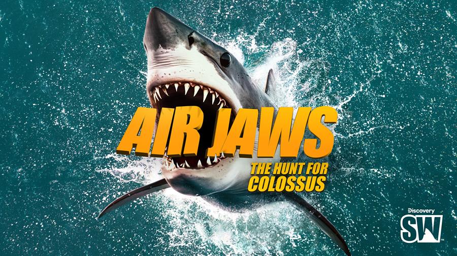 Discovery’s Shark Week returns 10 August