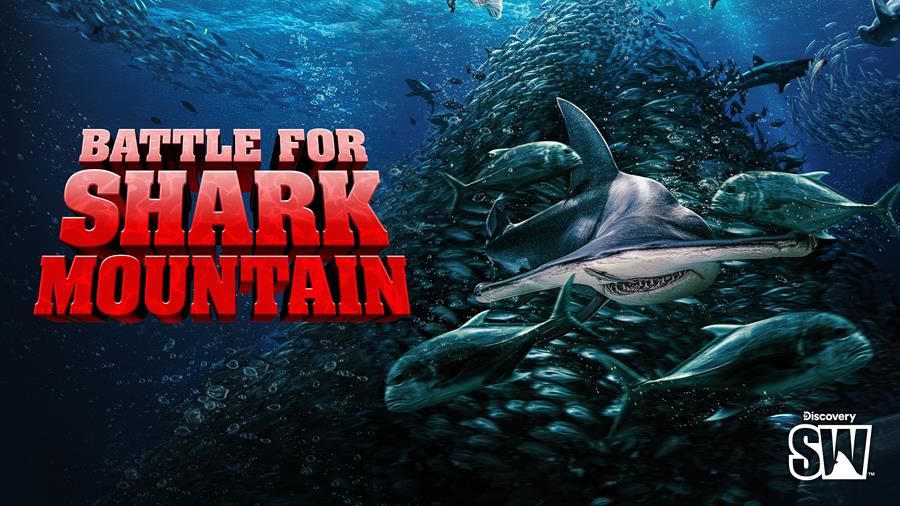 Discovery’s Shark Week returns 10 August