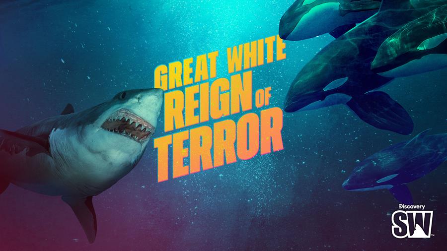 Discovery’s Shark Week returns 10 August