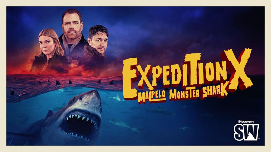 Discovery’s Shark Week returns 10 August