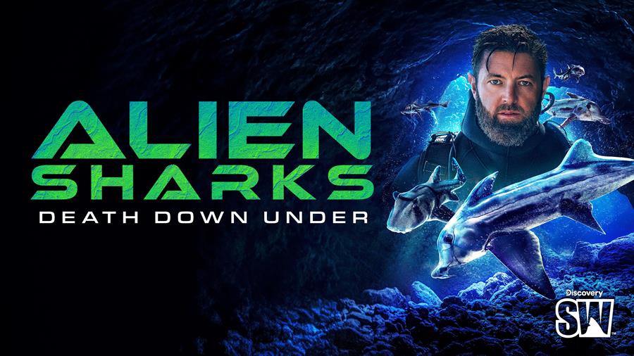 Discovery’s Shark Week returns 10 August