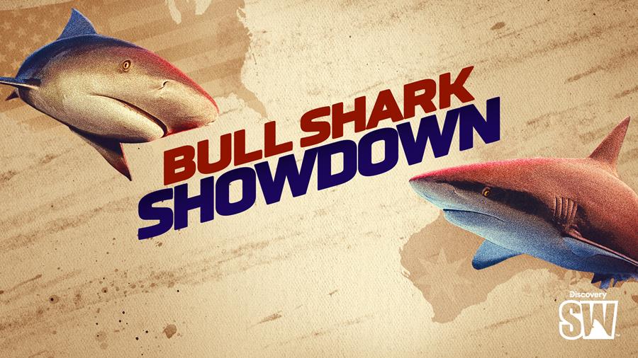 Discovery’s Shark Week returns 10 August