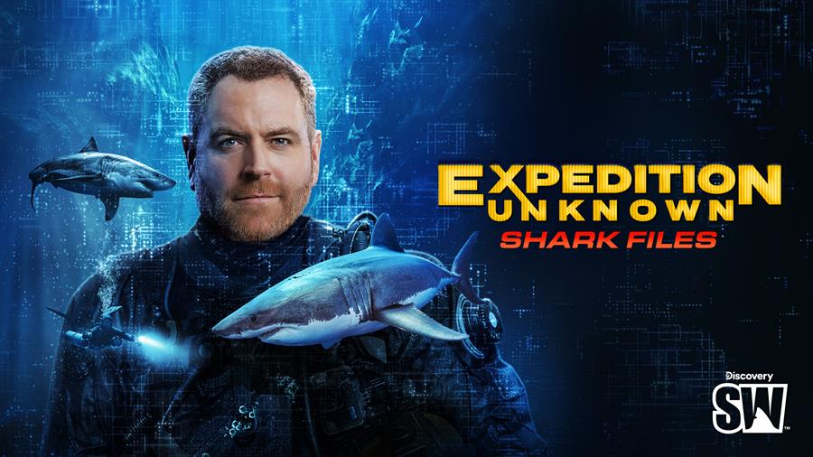 Discovery’s Shark Week returns 10 August