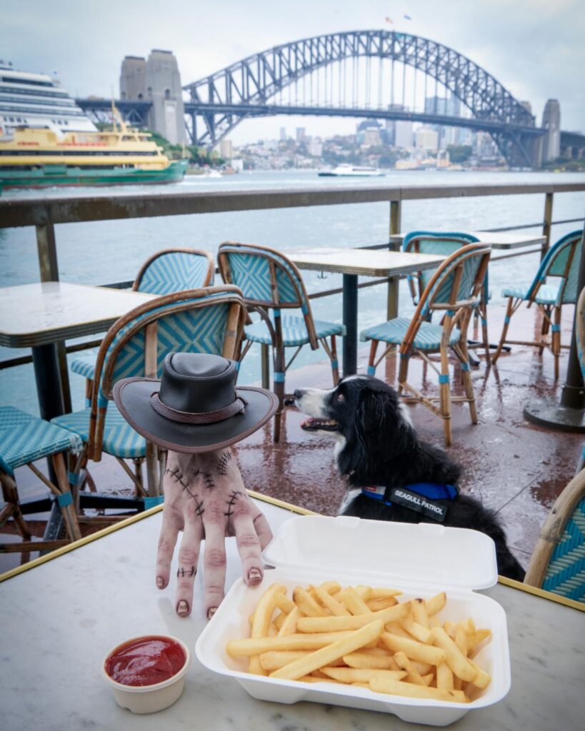 Wednesday on Netflix has Thing tour Sydney