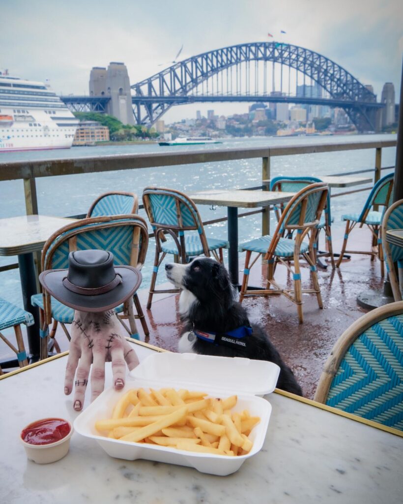 Wednesday on Netflix has Thing tour Sydney