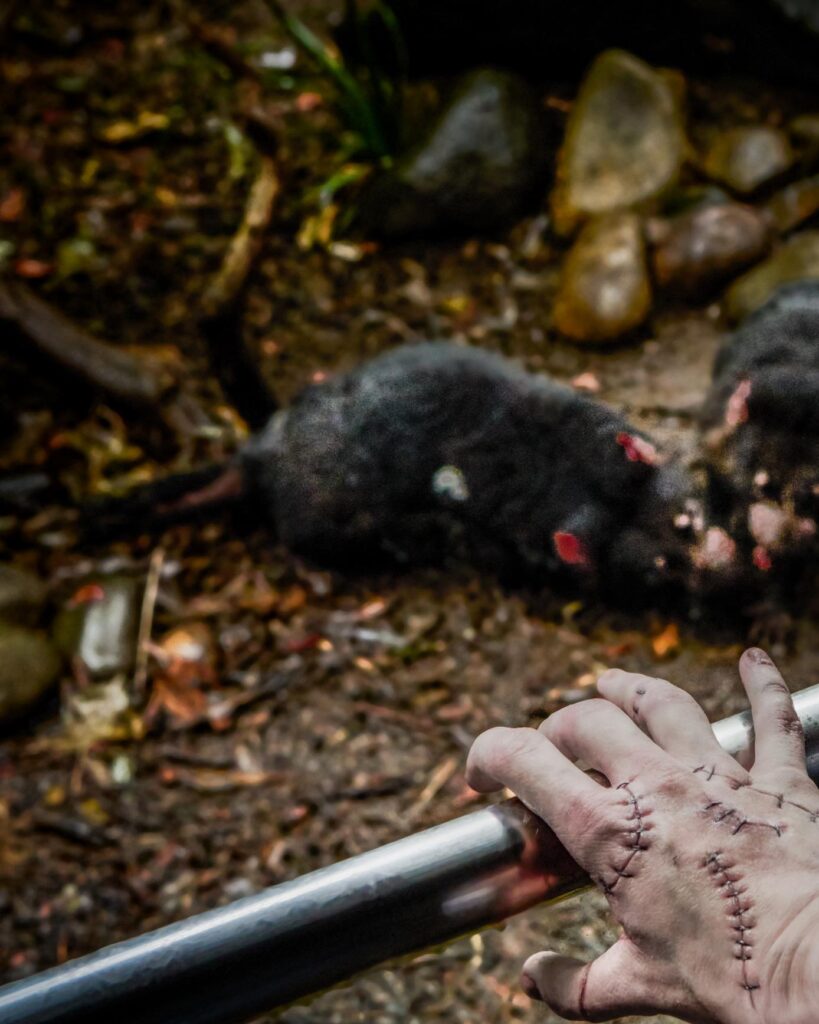 Wednesday on Netflix has Thing tour Sydney
