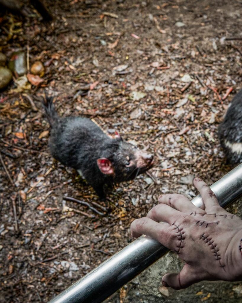 Wednesday on Netflix has Thing tour Sydney