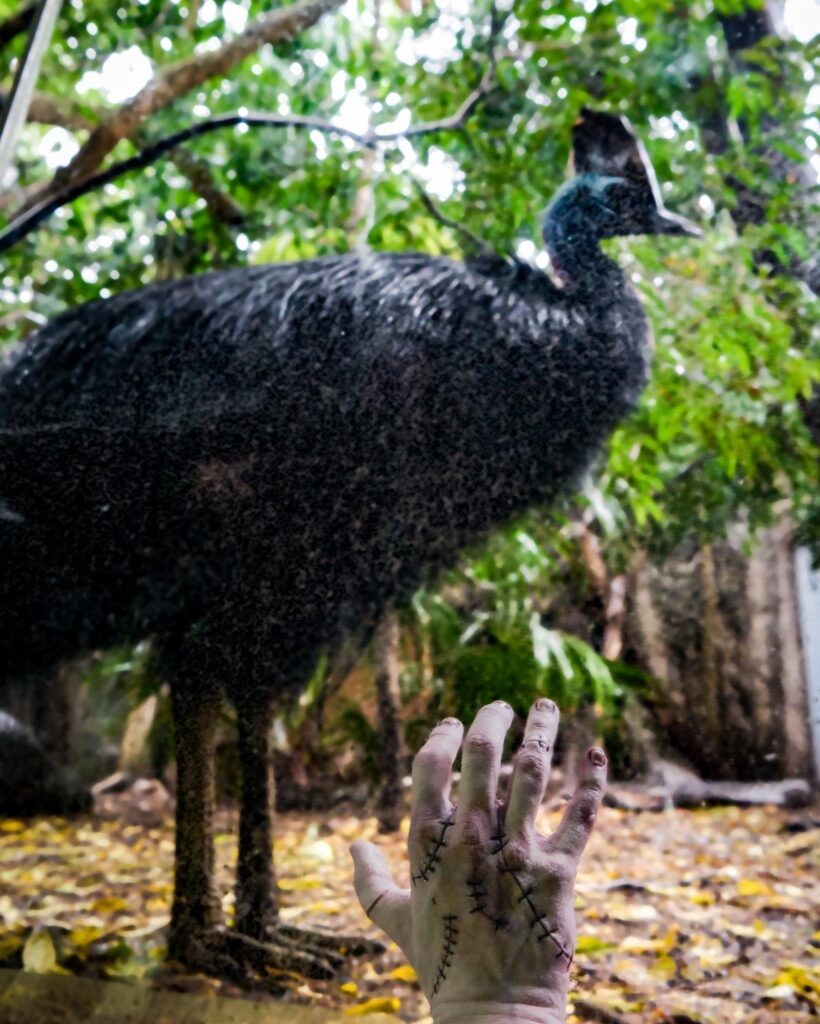 Wednesday on Netflix has Thing tour Sydney