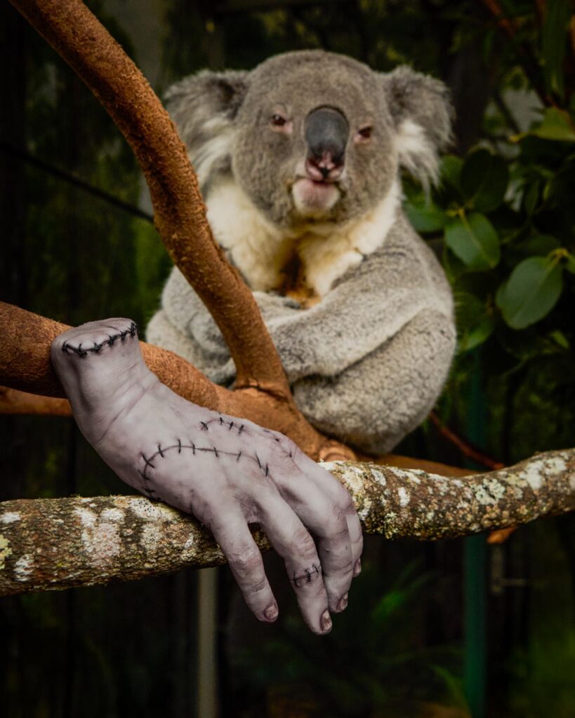 Wednesday on Netflix has Thing tour Sydney
