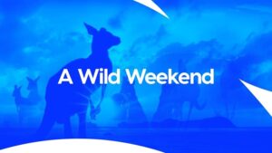 September 2025 on Warner Bros Discovery