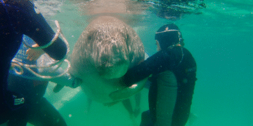 Dr Ann's Secret Lives on ABC and ABC iview S1E5