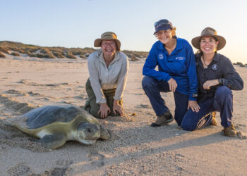 Dr Ann's Secret Lives on ABC and ABC iview S1E4