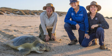 Dr Ann's Secret Lives on ABC and ABC iview S1E4