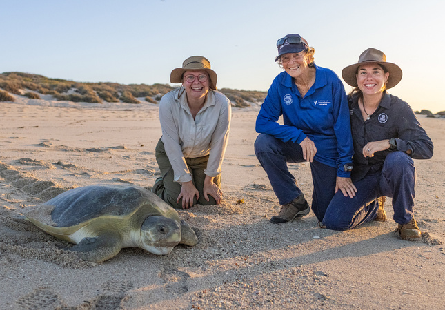 Dr Ann's Secret Lives on ABC and ABC iview S1E4