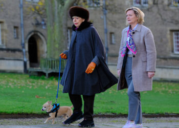 Professor T on ABC and ABC iview S1E3