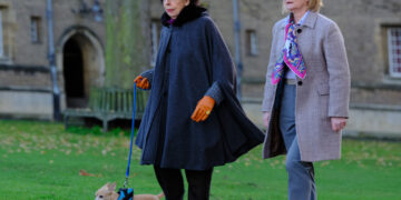 Professor T on ABC and ABC iview S1E3