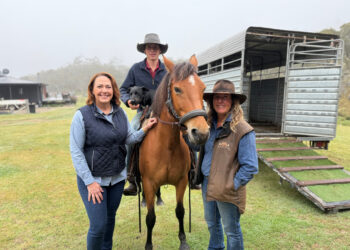 Back Roads on ABC and ABC iview S11E15