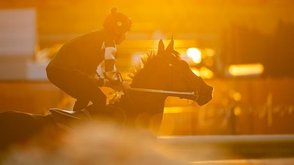 The Final 2025 Kennedy Finalists Announced