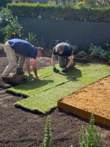 Better Homes and Gardens on Channel 7 and 7plus S31E29