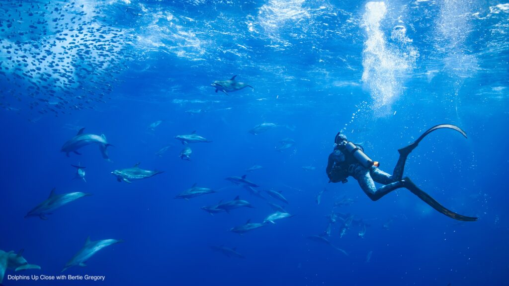 September 2025 on Disney+