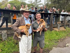 Better Homes and Gardens on Channel 7 and 7plus S31E29