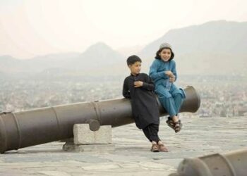 Foreign Correspondent on ABC and ABC iview S35E16