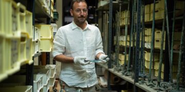 Pompeii: The New Dig – House Of Treasures on SBS and SBS on Demand