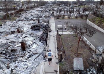 Maui’s Deadly Firestorm on SBS Viceland and SBS on Demand