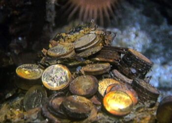 Cursed Gold: A Shipwreck Scandal on SBS Viceland and SBS on Demand S1E2