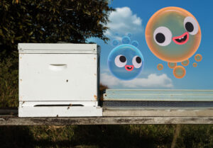 September 2025 on ABC iview