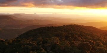 Filming begins in Queensland on Netflix drama The Mosquito Bowl