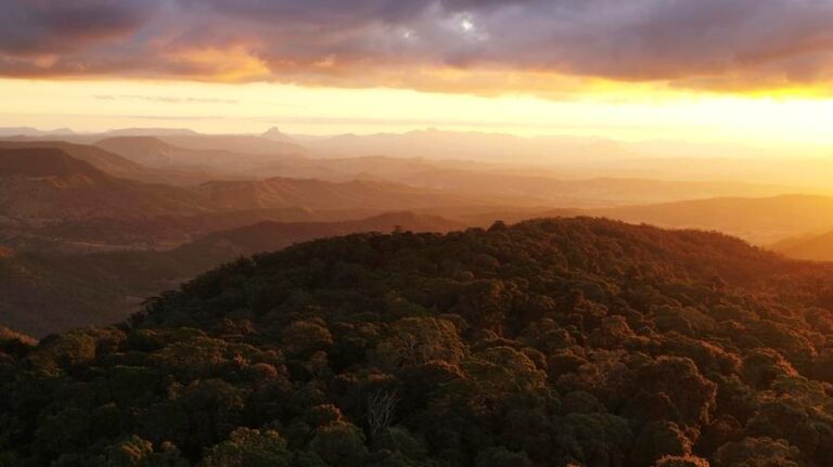 Filming begins in Queensland on Netflix drama The Mosquito Bowl