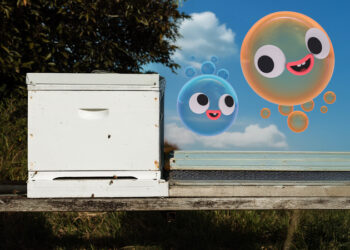 Fizzy and Suds on ABC and ABC iview S2