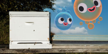 Fizzy and Suds on ABC and ABC iview S2