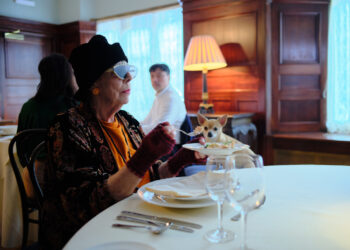 Professor T on ABC and ABC iview S1E6