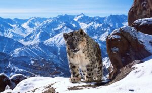 October 2025 on BritBox