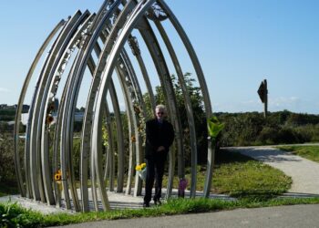 Fatal Flight: Shoreham on SBS Viceland and SBS on Demand