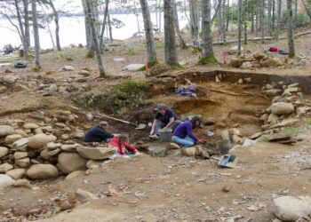 The Curse of Oak Island on SBS Viceland and SBS on Demand S11E21 and S11E22