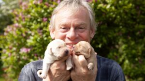 October 2025 on BritBox