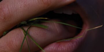 MOVIE | Wuthering Heights trailer