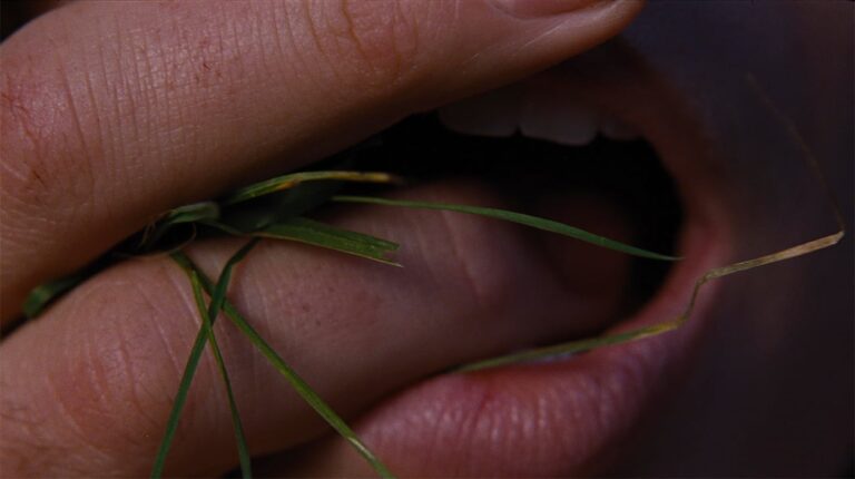 MOVIE | Wuthering Heights trailer