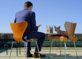 Professor T on ABC and ABC iview S2E3