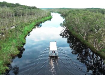 My Way on Channel 9 Queensland and 9Now S11E2