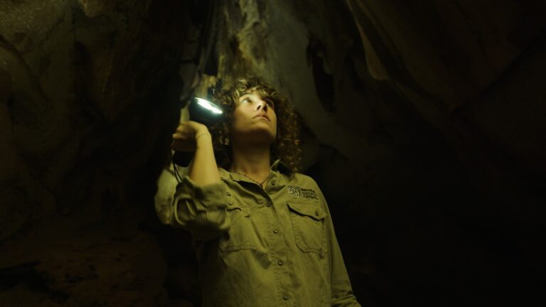 My Way on Channel 9 Queensland and 9Now S11E3