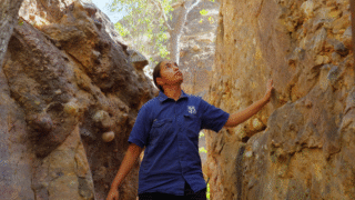 My Way on Channel 9 Queensland and 9Now S11E4