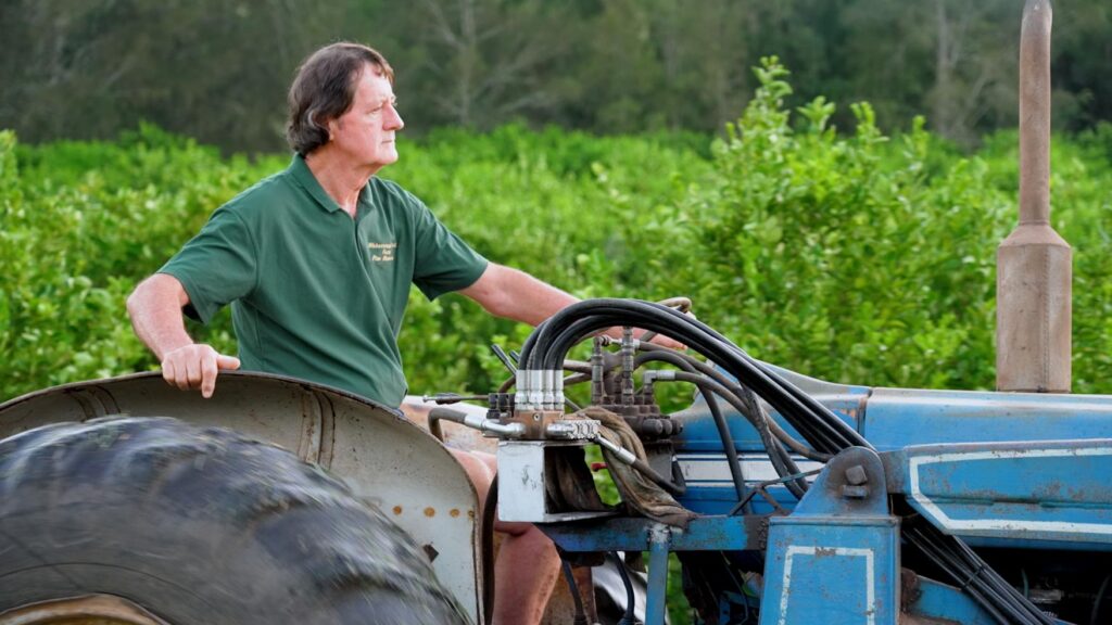 My Way on Channel 9 Queensland and 9Now S11E1